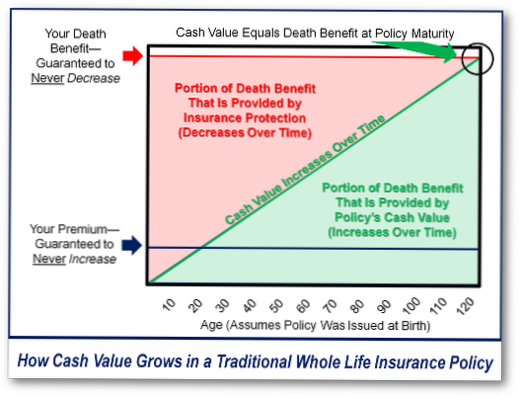 Tourshabana How Does Whole Life Insurance Work